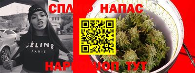 индика Бузулук