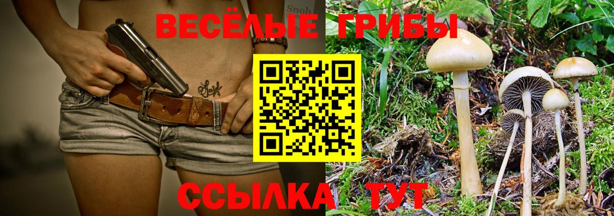 Галлюциногенные грибы Magic Shrooms Реутов