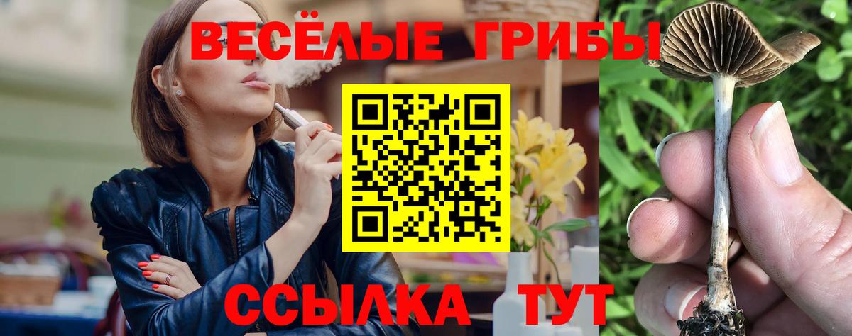 Галлюциногенные грибы Psilocybine cubensis  Вход с VPN  Реутов 