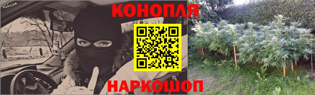 Реутов  Марихуана Bruce Banner  Марихуана THC 21%  Вход с VPN 